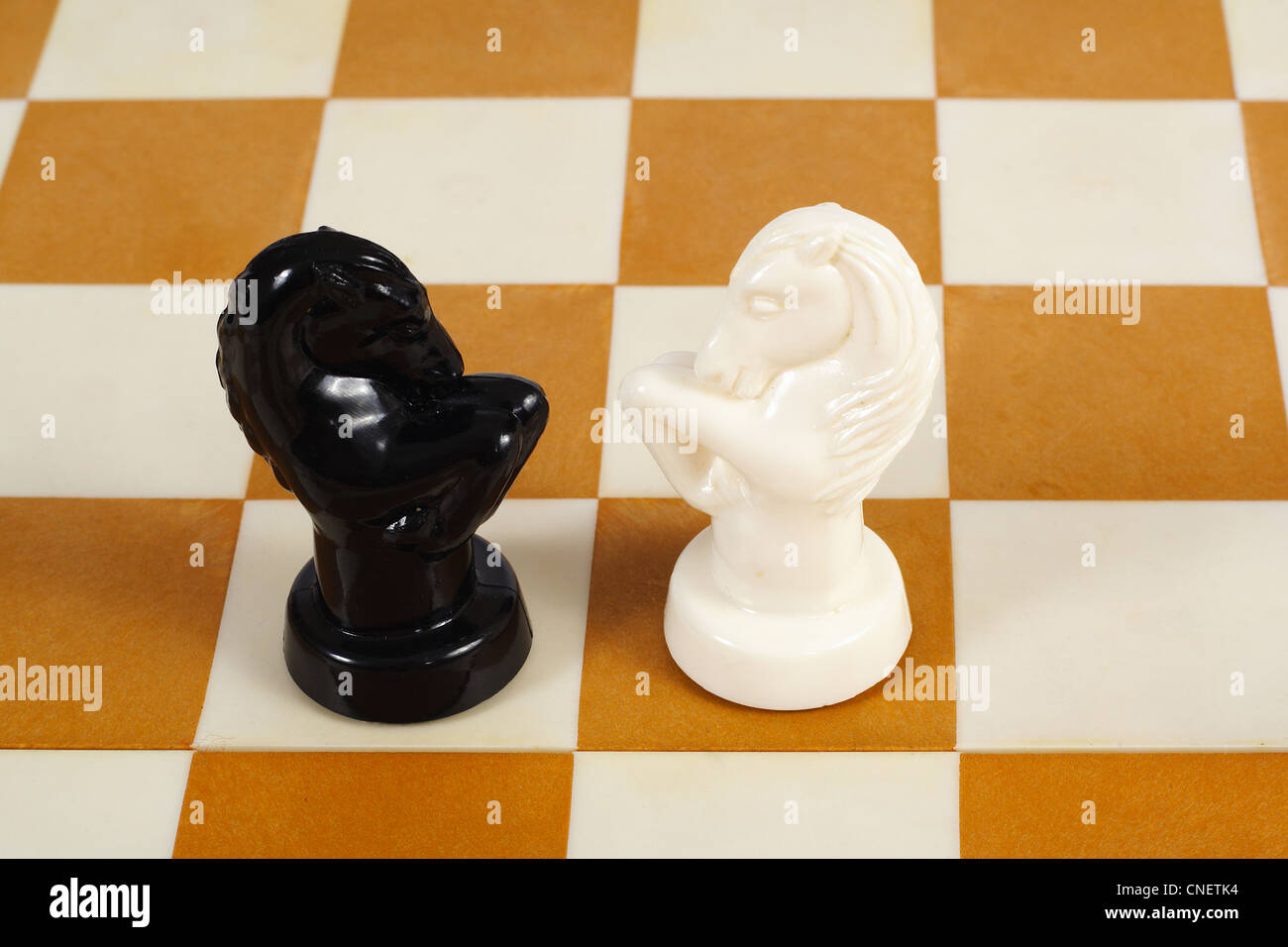 Les chevaux d'échecs sur l'échiquier seul permanent Banque D'Images