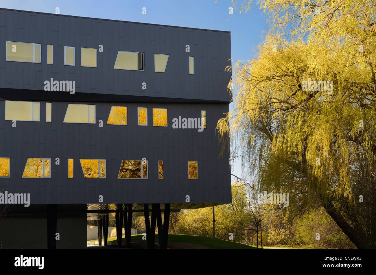 Saule jaune et l'architecture futuriste de l'Institut Perimeter de physique théorique bâtiment de recherche Canada Waterloo Banque D'Images