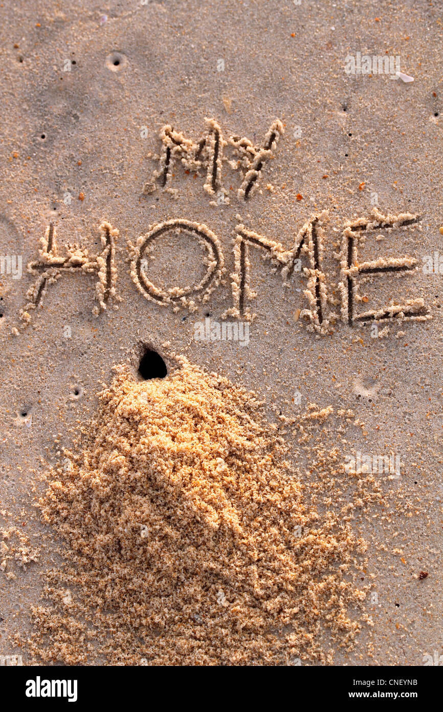 Trou de crabe et un tas de sable avec des mots ma maison sur une plage Banque D'Images