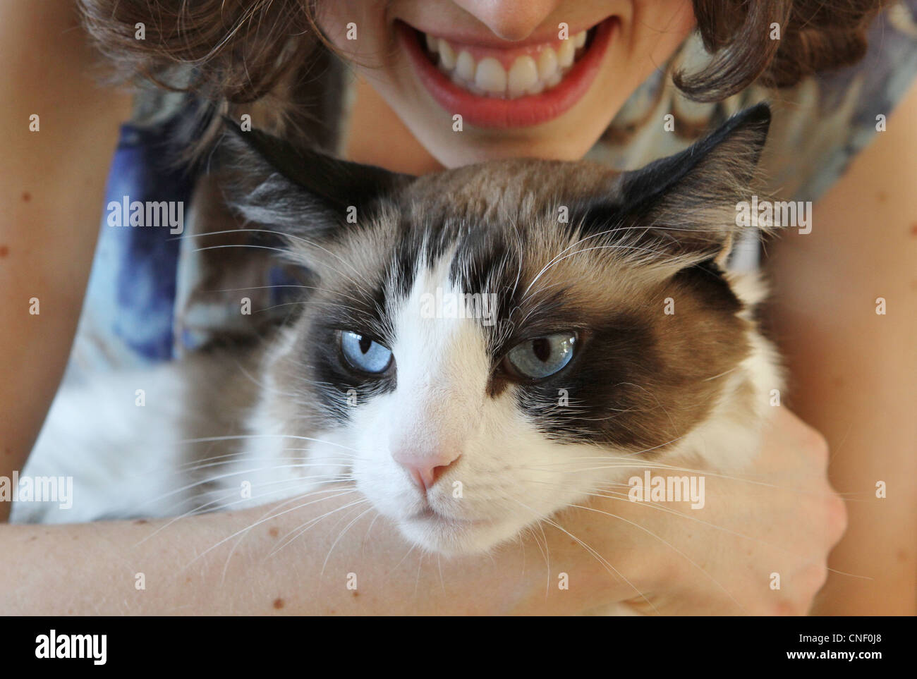 Une jeune femme tenant un chat aux yeux bleus. Banque D'Images