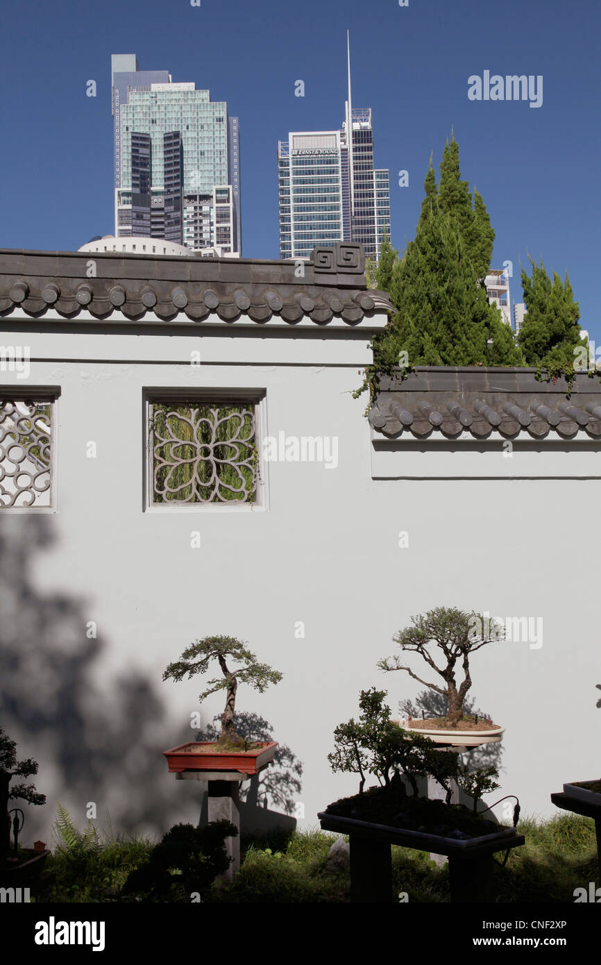 Le jardin chinois de l'amitié dans le quartier chinois à Sydney, Australie Banque D'Images