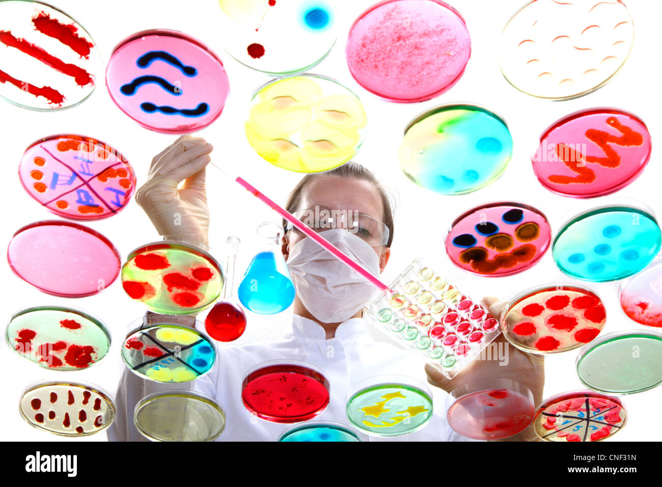 Laboratory, biologique, chimique. L'analyse des cultures de bactéries de plus en plus de bactéries dans des boîtes de pétri. Banque D'Images