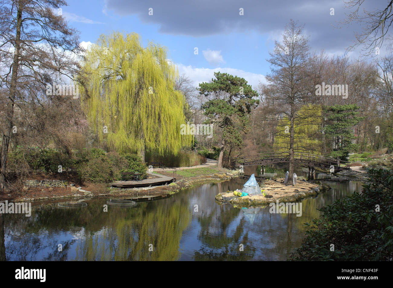 Jardin botanique de Wroclaw en Pologne au début du printemps Banque D'Images