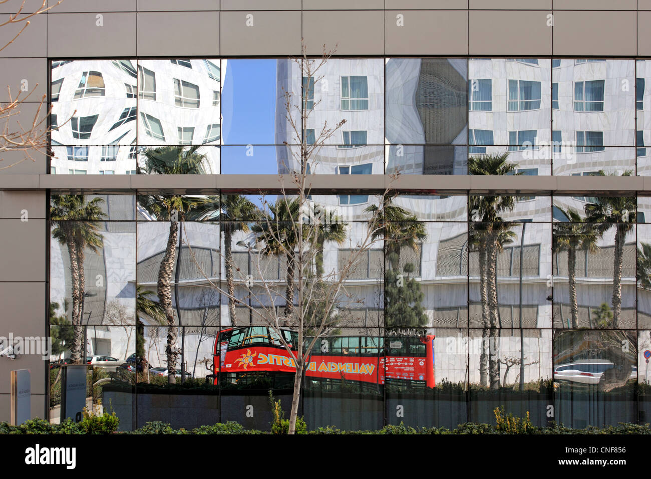 Résumé de droit de l'autobus en compte dans windows en miroir, Valencia Espagne Banque D'Images