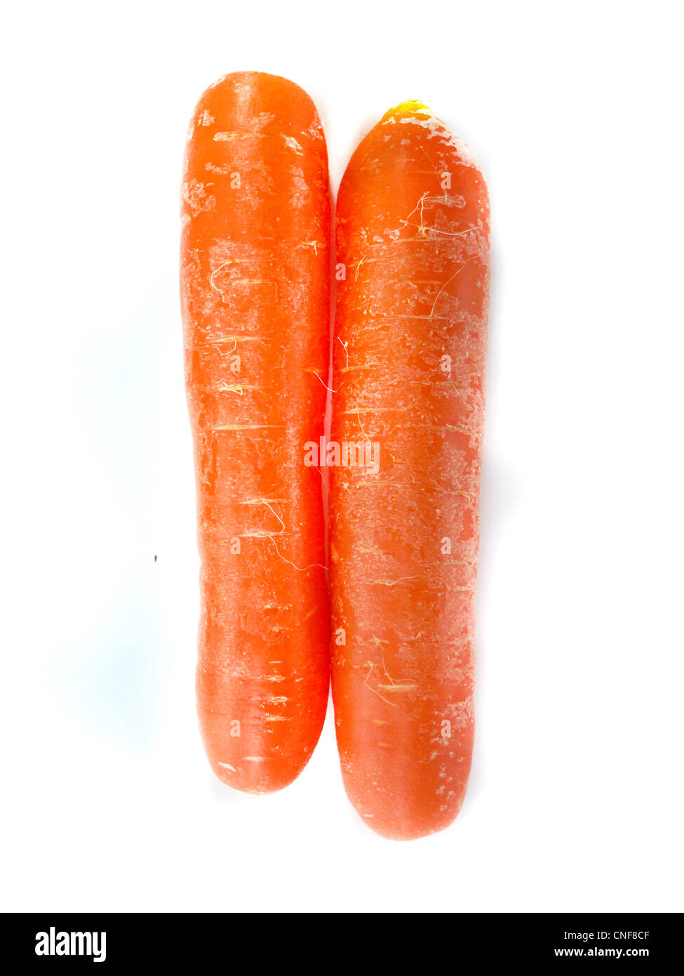 La carotte orange sur fond blanc Banque D'Images