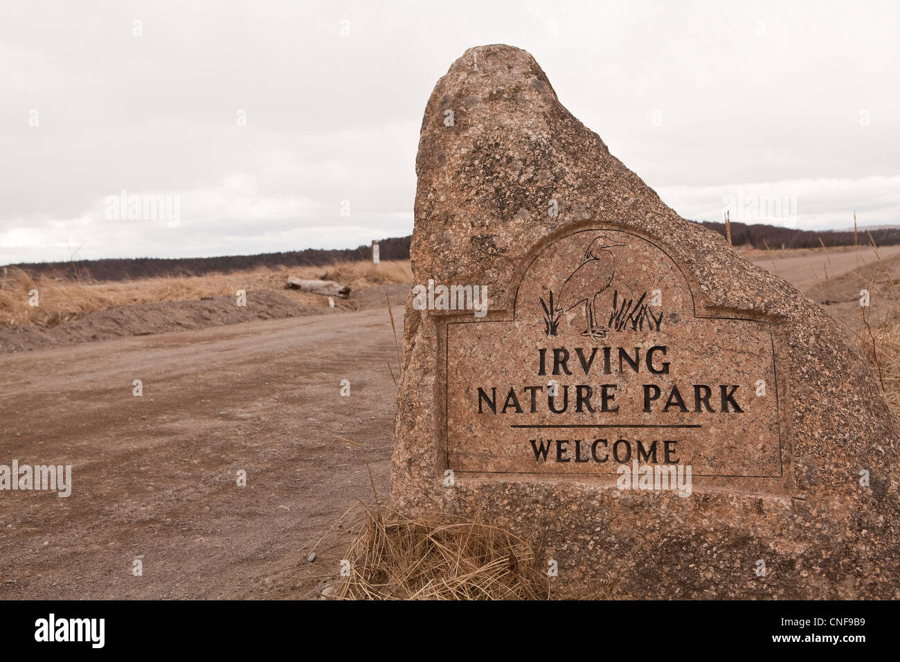 Irving Nature Park est représenté près de Saint John (Saint-Jean, Nouveau-Brunswick) Banque D'Images Irving Nature Park est représenté près de Saint John (Saint-Jean, Nouveau-Brunswick) Banque D'Images