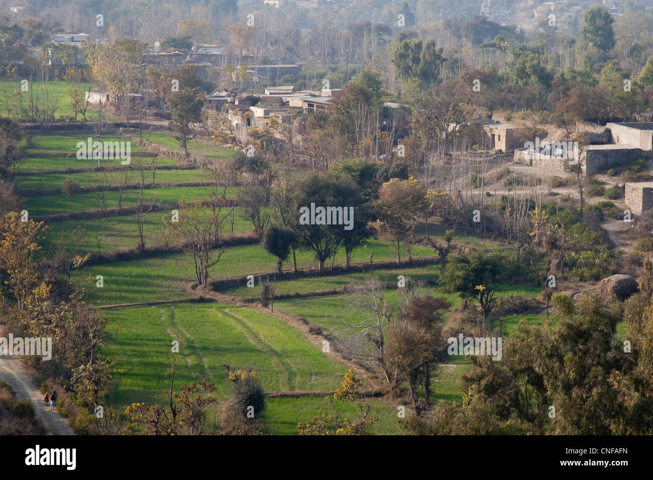 Village agricole de la Province de Punjab, Pakistan Banque D'Images