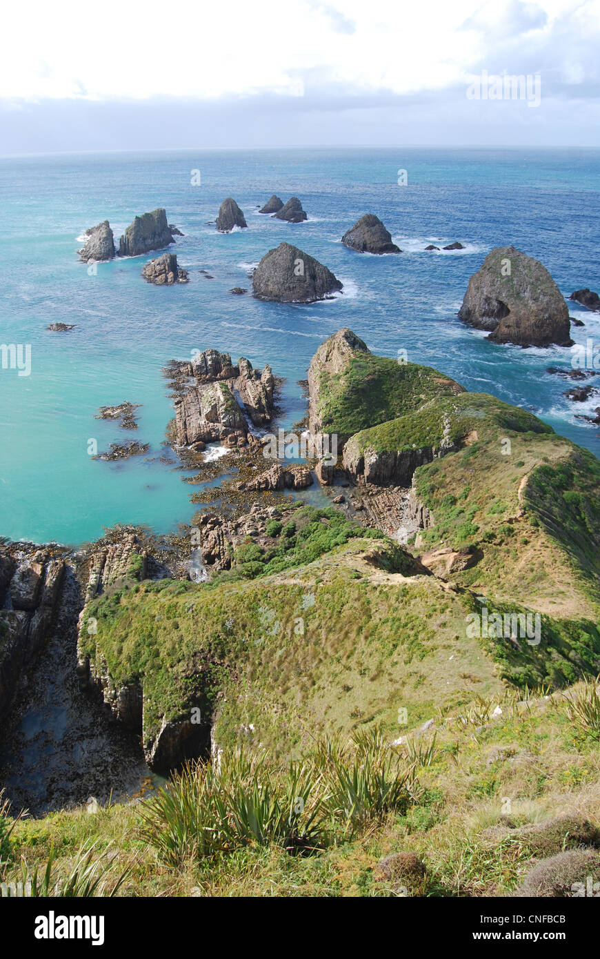 Nugget Point, la région de l'Otago, Catlins, île du Sud, Nouvelle-Zélande Banque D'Images