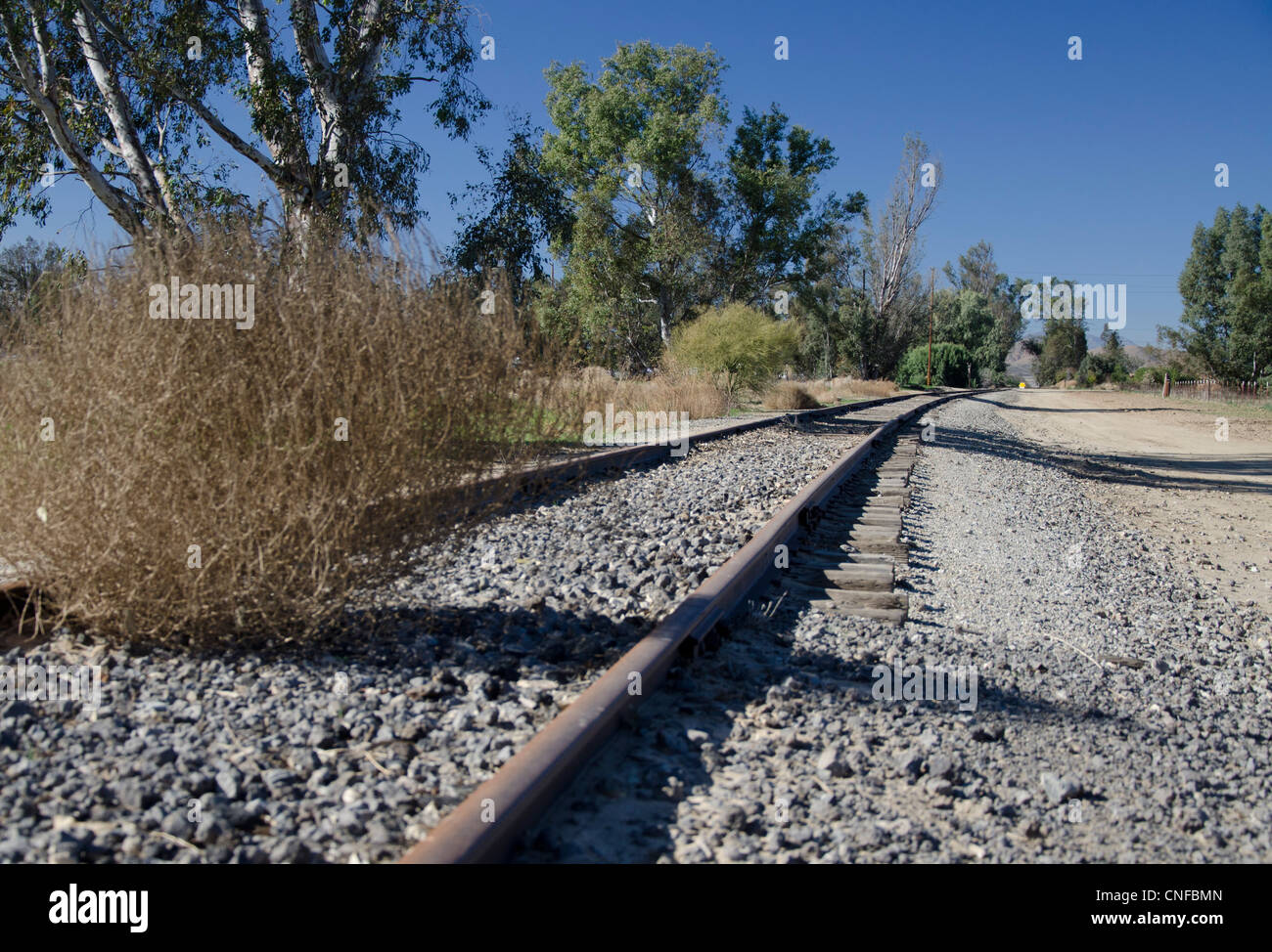 Ancienne voie ferrée abandonnée, disparaître au loin. Un Tumbleweed repose sur la route. Les voies de la ligne des arbres. Banque D'Images