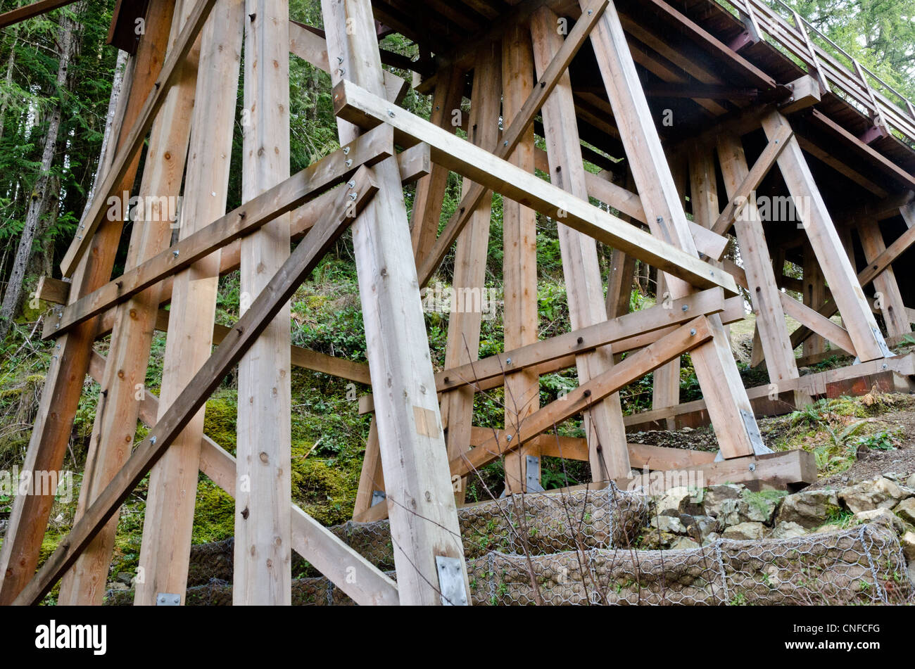 Kinsol Trestle pont de chemin de fer en bois, l'île de Vancouver, Canada, sur le sentier transcanadien Banque D'Images
