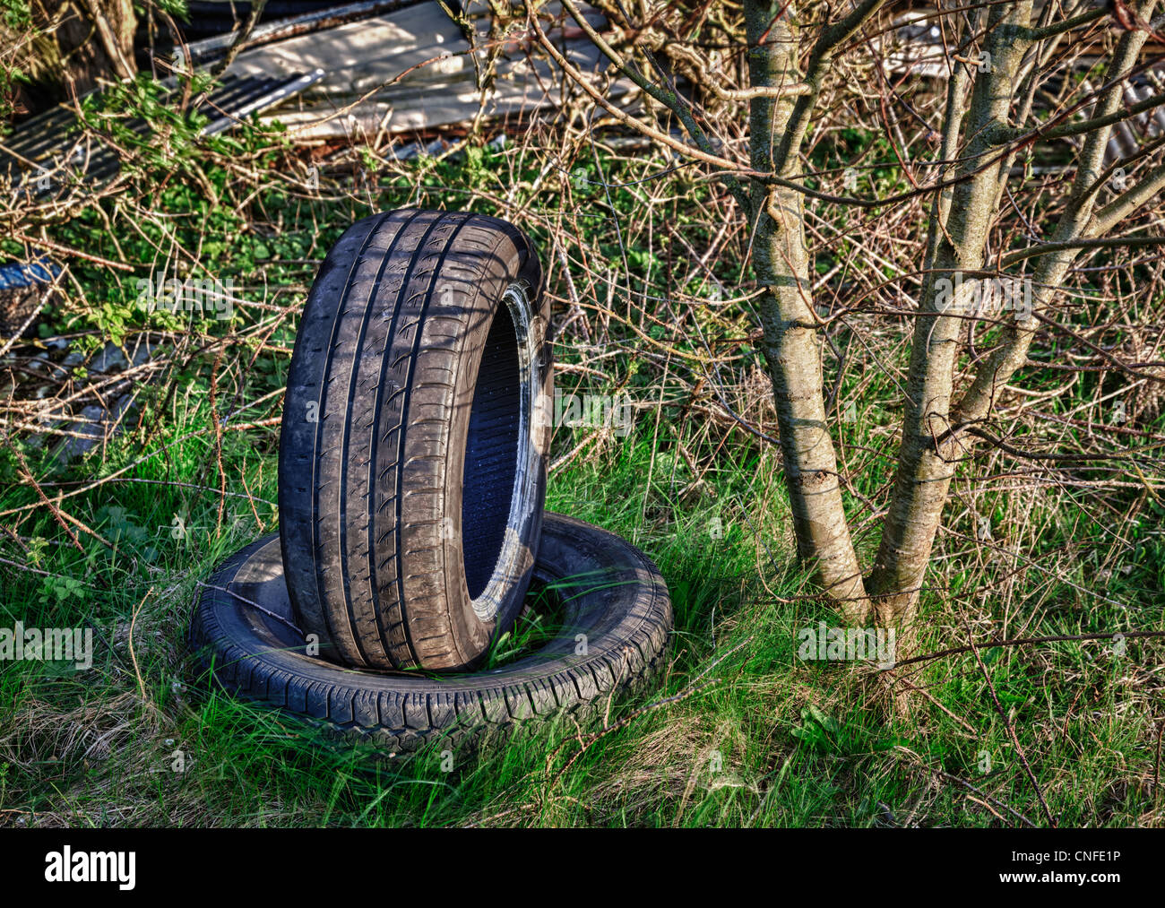 Les pneus de voiture abandonnée en terrain envahi Banque D'Images