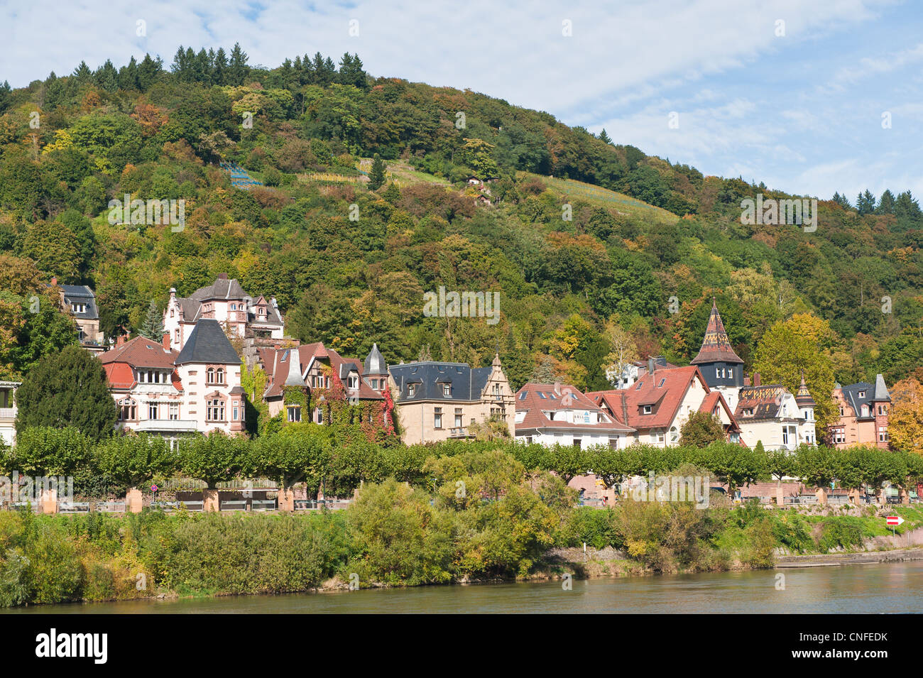 Maisons anciennes bordant la rive nord du Neckar, Heidelberg, Allemagne. Banque D'Images