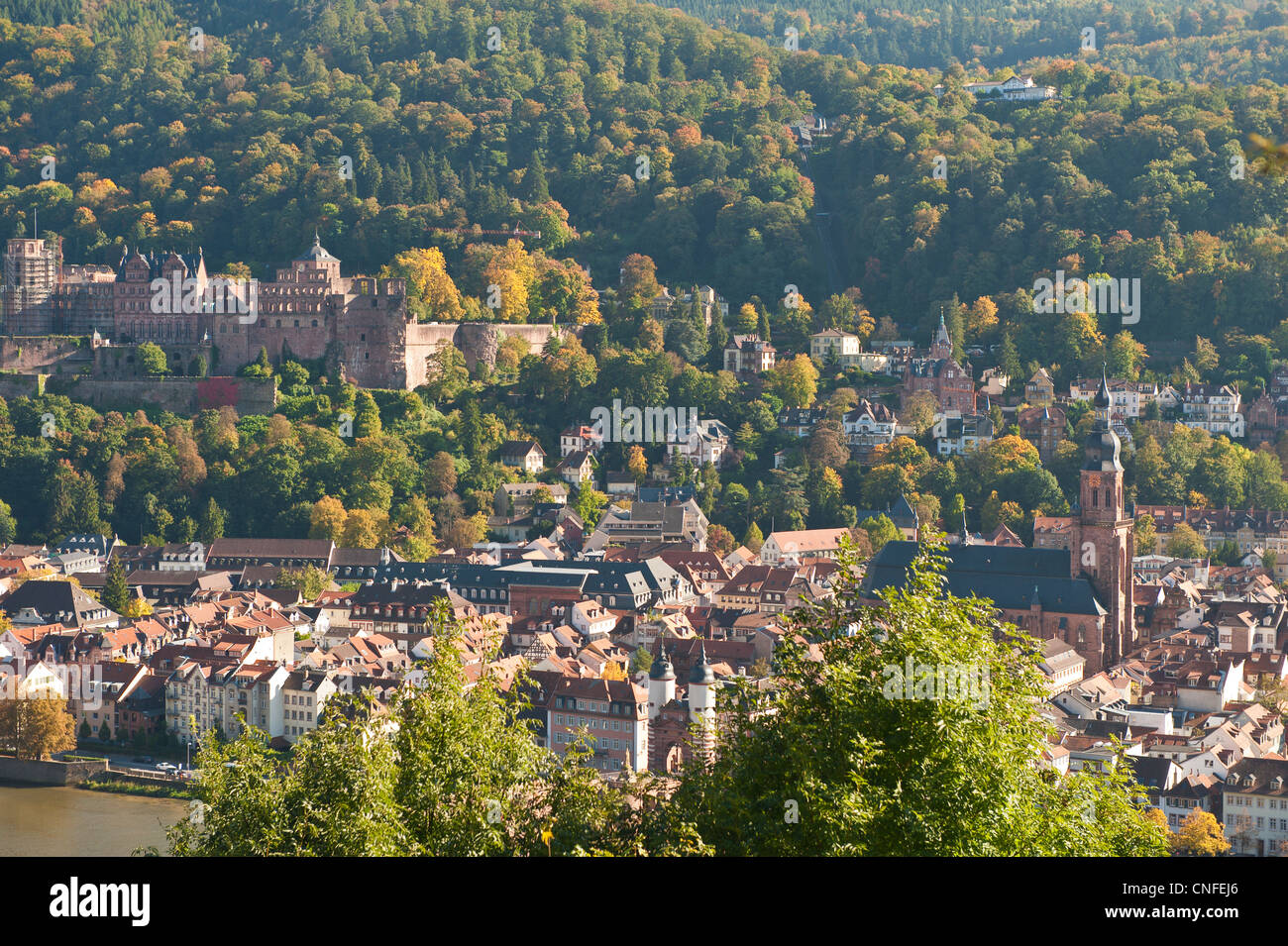 Vue de la vieille ville de Heidelberg avec Neckar et du château d'Heidelberg Philosophenweg, Heidelberg, Allemagne. Banque D'Images