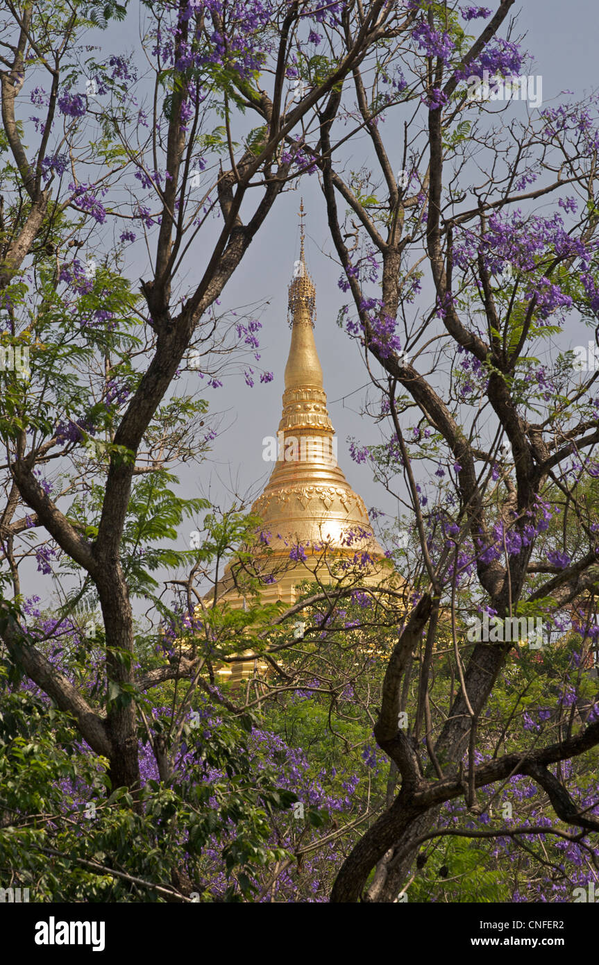 Stupa bouddhiste d', Anisakan, près de pyin u lwin, Birmanie. Myanmar Banque D'Images