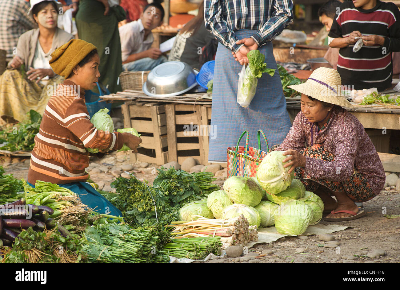 L'achat de choux marché. Hsipaw, l'État Shan, en Birmanie. Myanmar Banque D'Images
