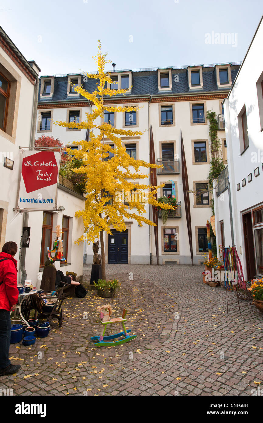 Quartier bohème dans la partie extérieure de Neustadt à Dresde, Allemagne. Banque D'Images