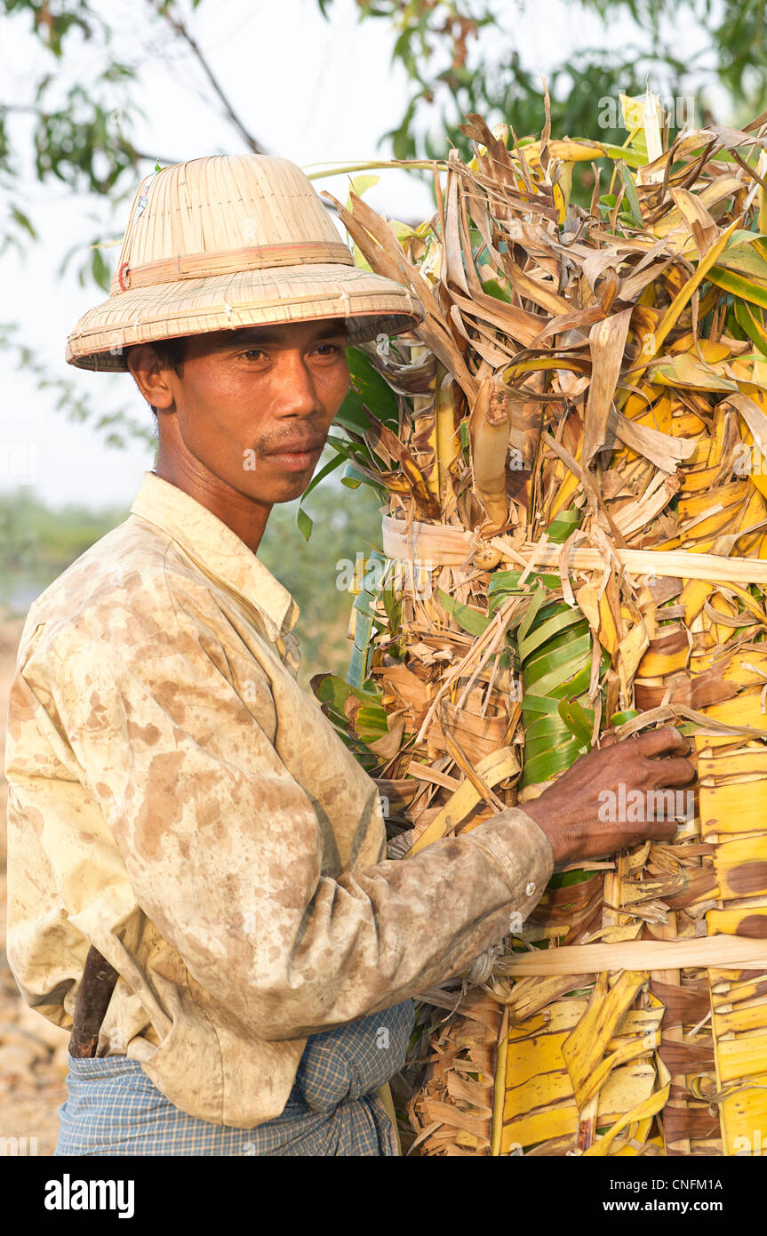 Fermier birman, près de Mandalay, Birmanie. Myanmar Banque D'Images