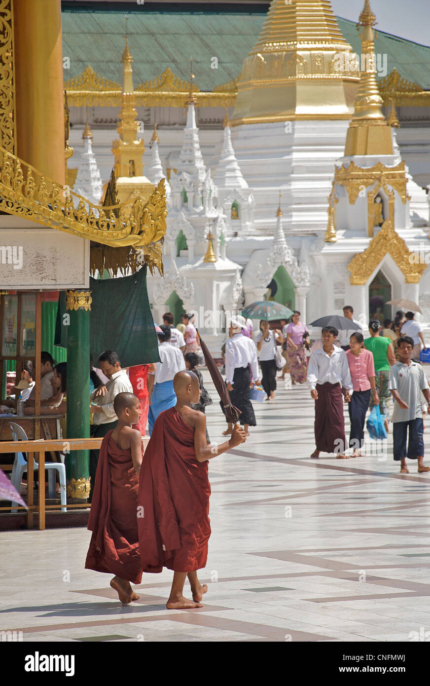 Des moines bouddhistes à Rangoon, la Pagode Schwedagon Banque D'Images