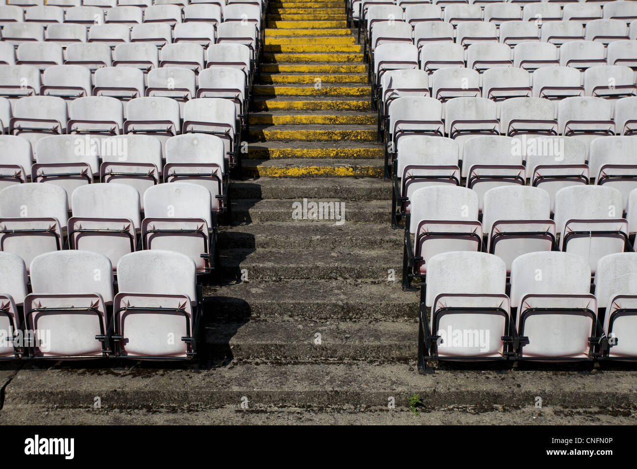 Dalymount Park stade de football à Dublin, Irlande. Banque D'Images
