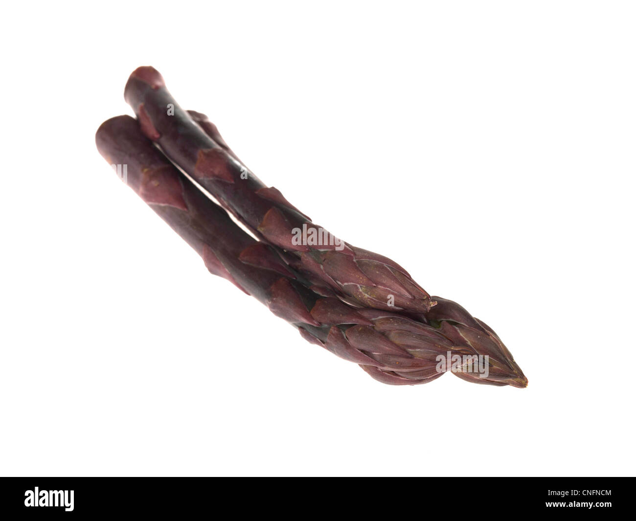 Asperges violettes Banque D'Images