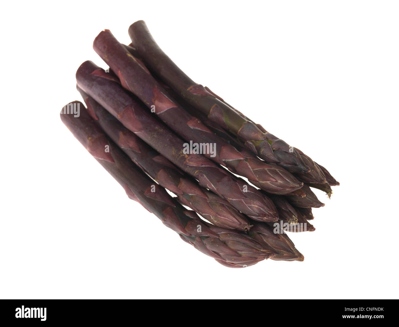 Asperges violettes Banque D'Images