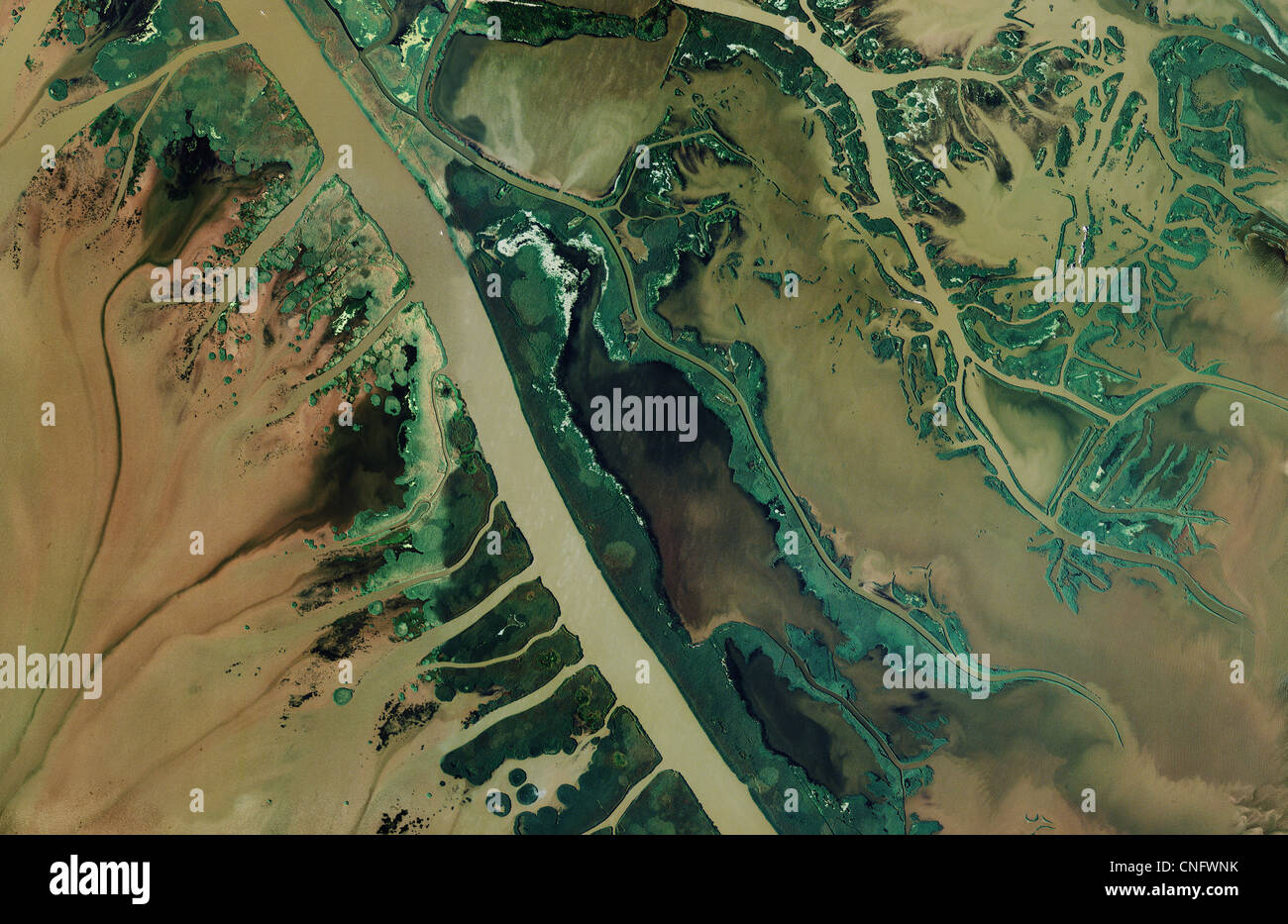 Photo aérienne de la carte Delta du Mississippi en Louisiane Banque D'Images