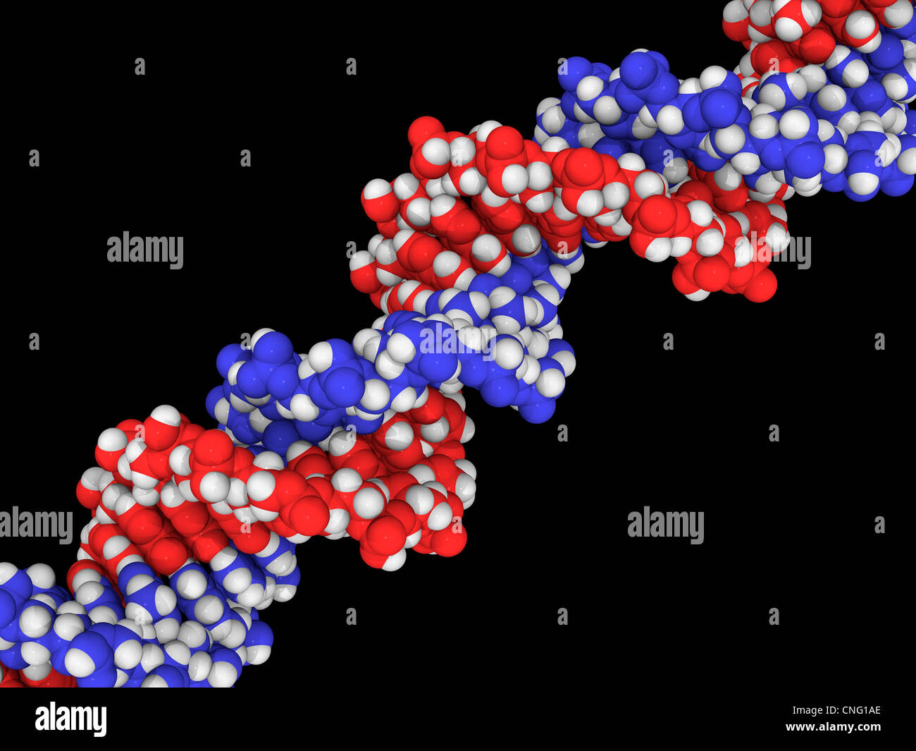 Molécule d'ADN artwork Banque D'Images