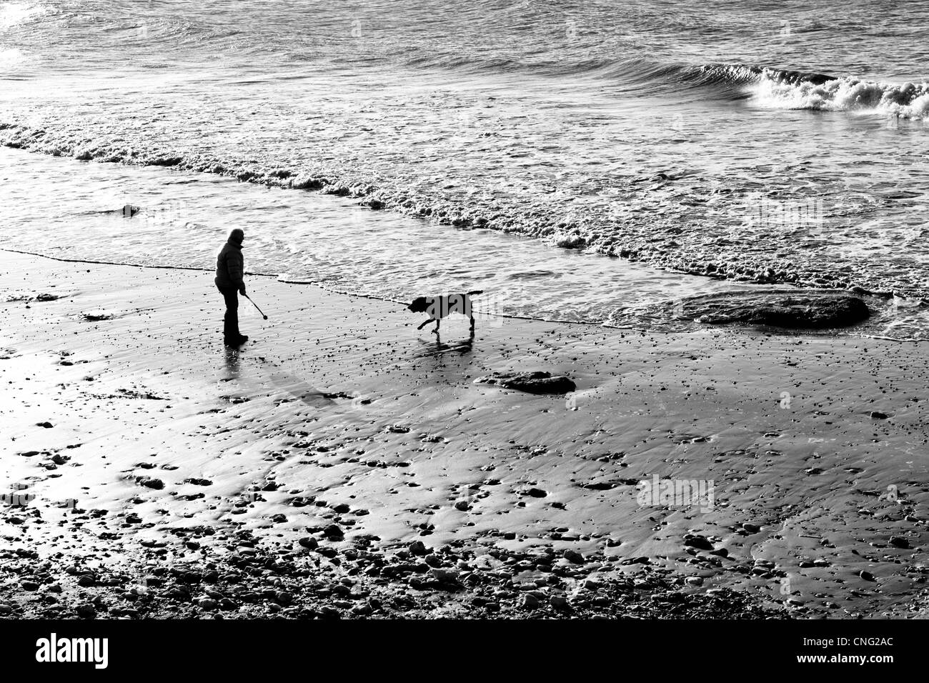 L'homme et un chien jouer au ballon sur la plage de Hunstanton à Norfolk, UK Banque D'Images
