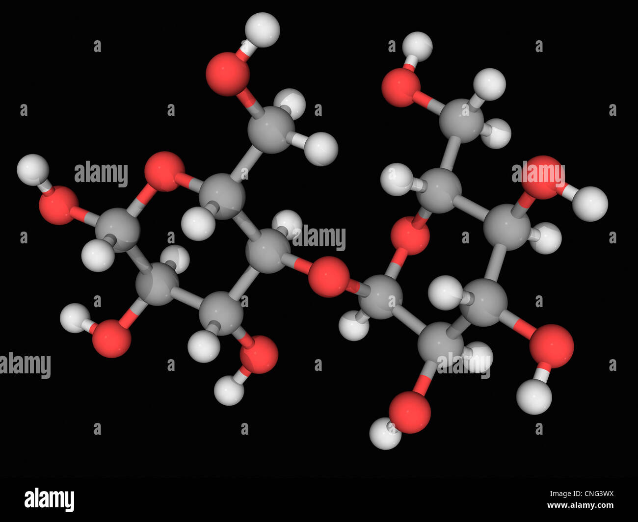 Molécule Maltose Banque D'Images