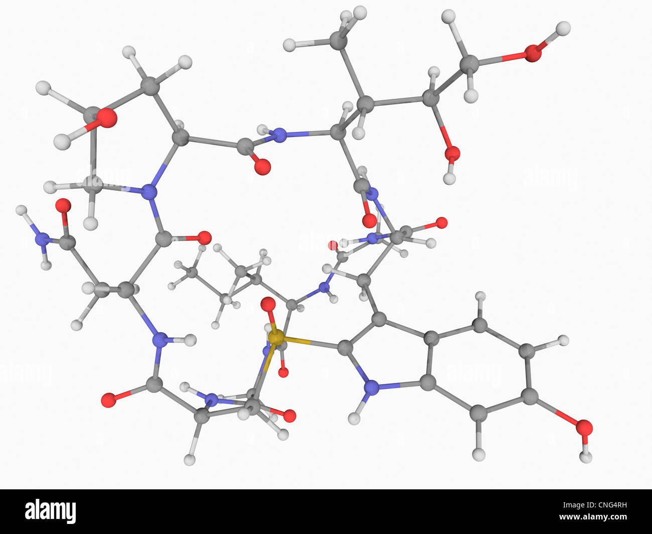 Alpha-Amanitin la molécule de toxine Banque D'Images