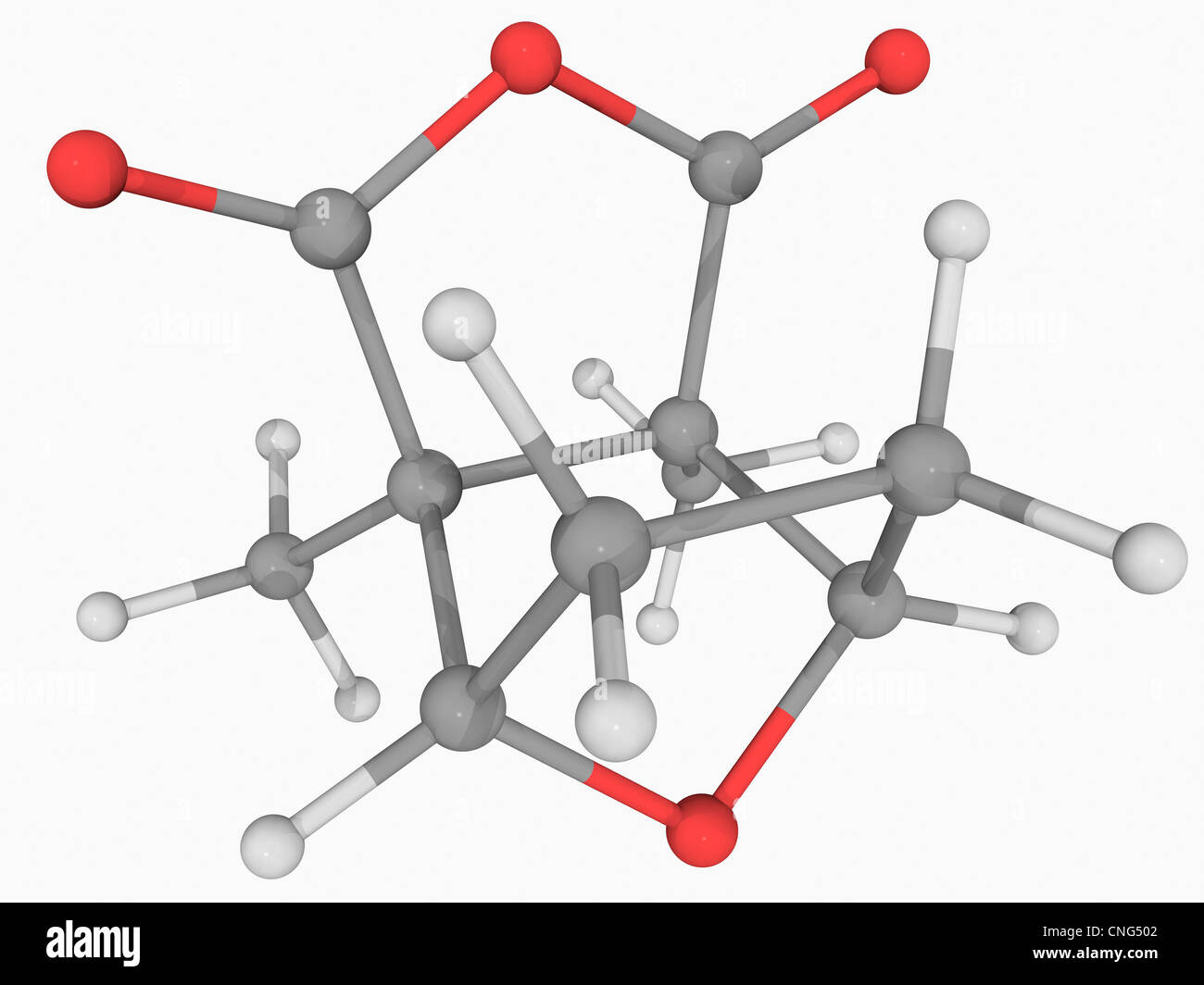 Cantharidin molecule Banque D'Images