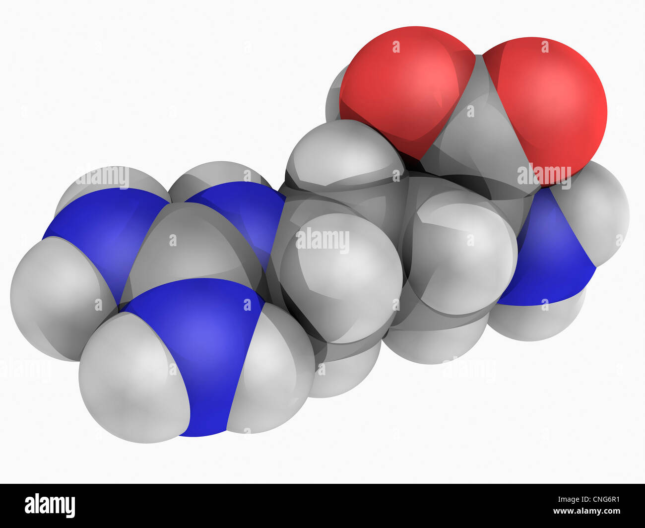 Molécule Arginine Banque D'Images