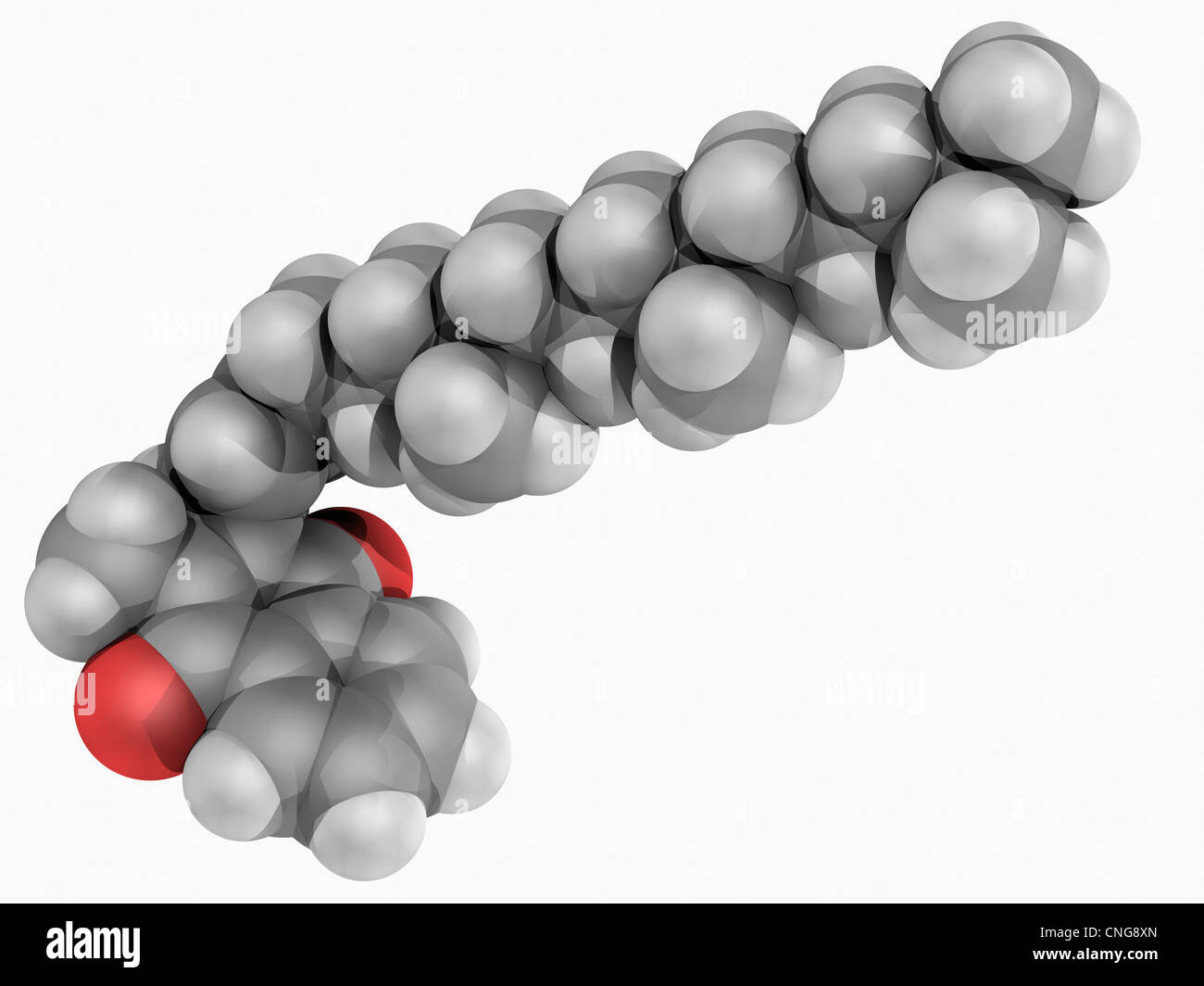 Molécule de vitamine K1 Banque D'Images