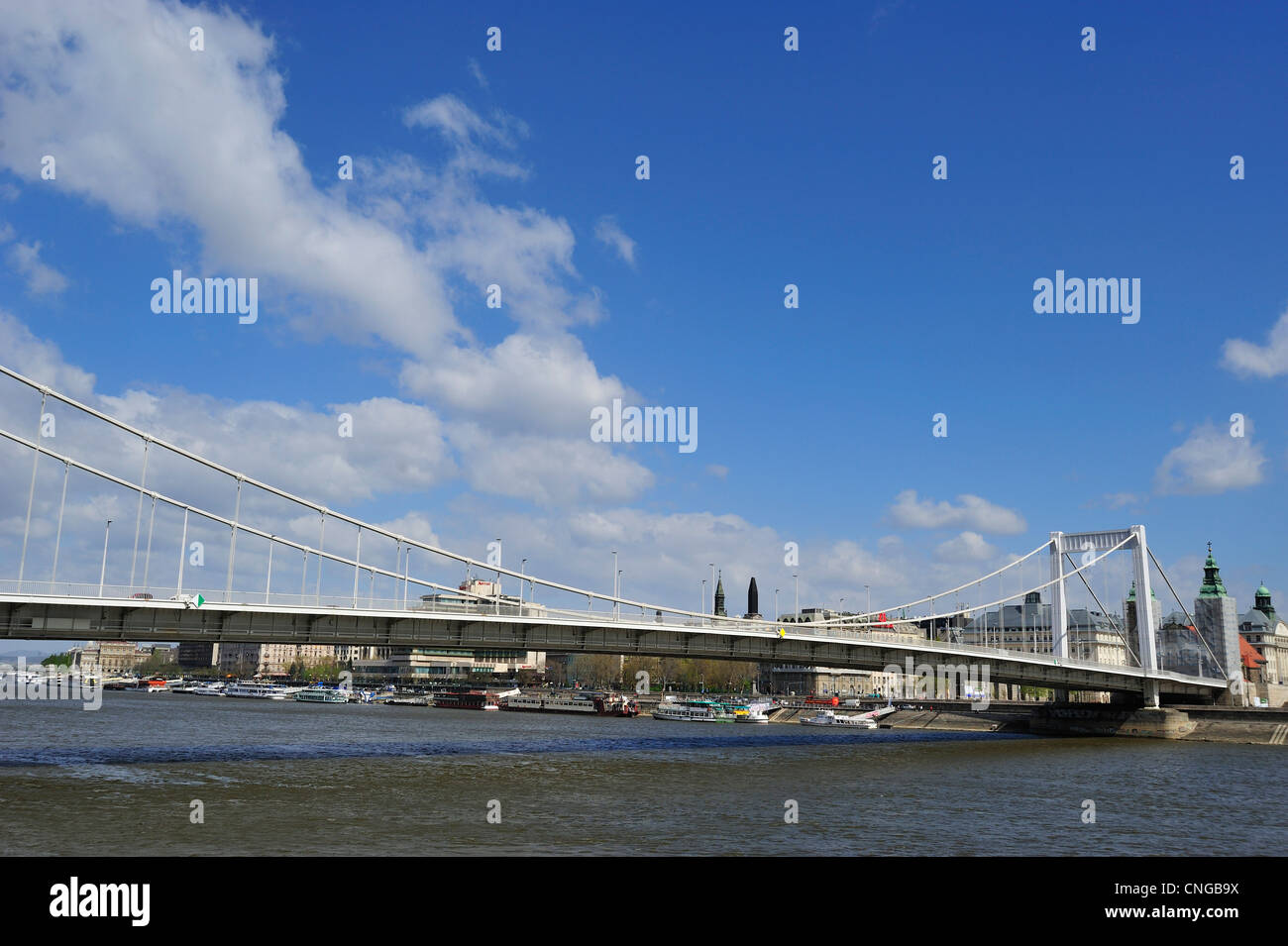 Pont Elisabeth, Budapest, Hongrie Banque D'Images