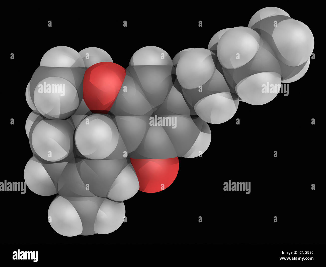 Le tétrahydrocannabinol (THC) molécule pharmaceutique Banque D'Images