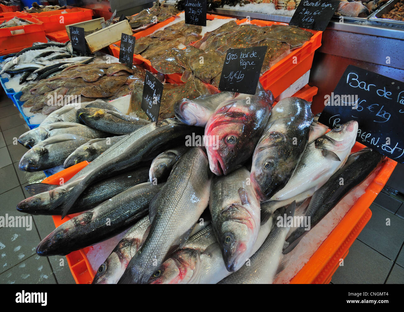 Poissons et fruits de mer frais au marché de poissons à l'intérieur dans le port du Tréport, Haute-Normandie, Seine-Maritime, France Banque D'Images