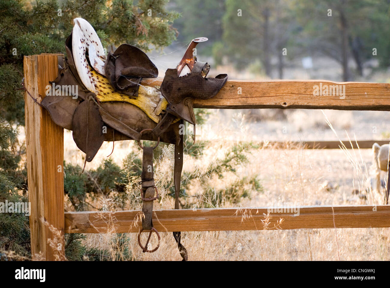 Un antique patiné sur une selle de rail split clôture dans le paysage rural. Prix pour copie. Banque D'Images