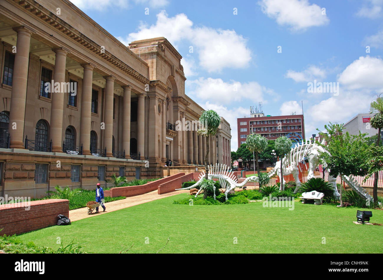 Musée national d'Histoire Naturelle, Pretoria, la Province de Gauteng, Afrique du Sud Banque D'Images