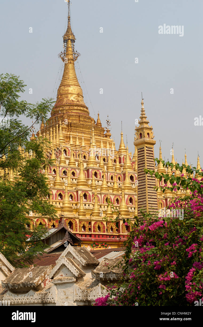 Thanboddhay Paya, Monywa, Birmanie. Le Myanmar. Thambuddhei Banque D'Images