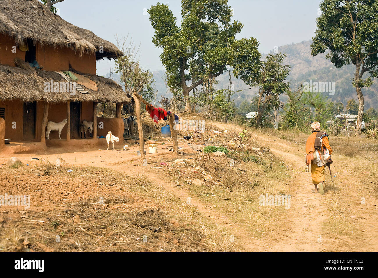 Baba nepal Banque de photographies et d'images à haute résolution - Alamy