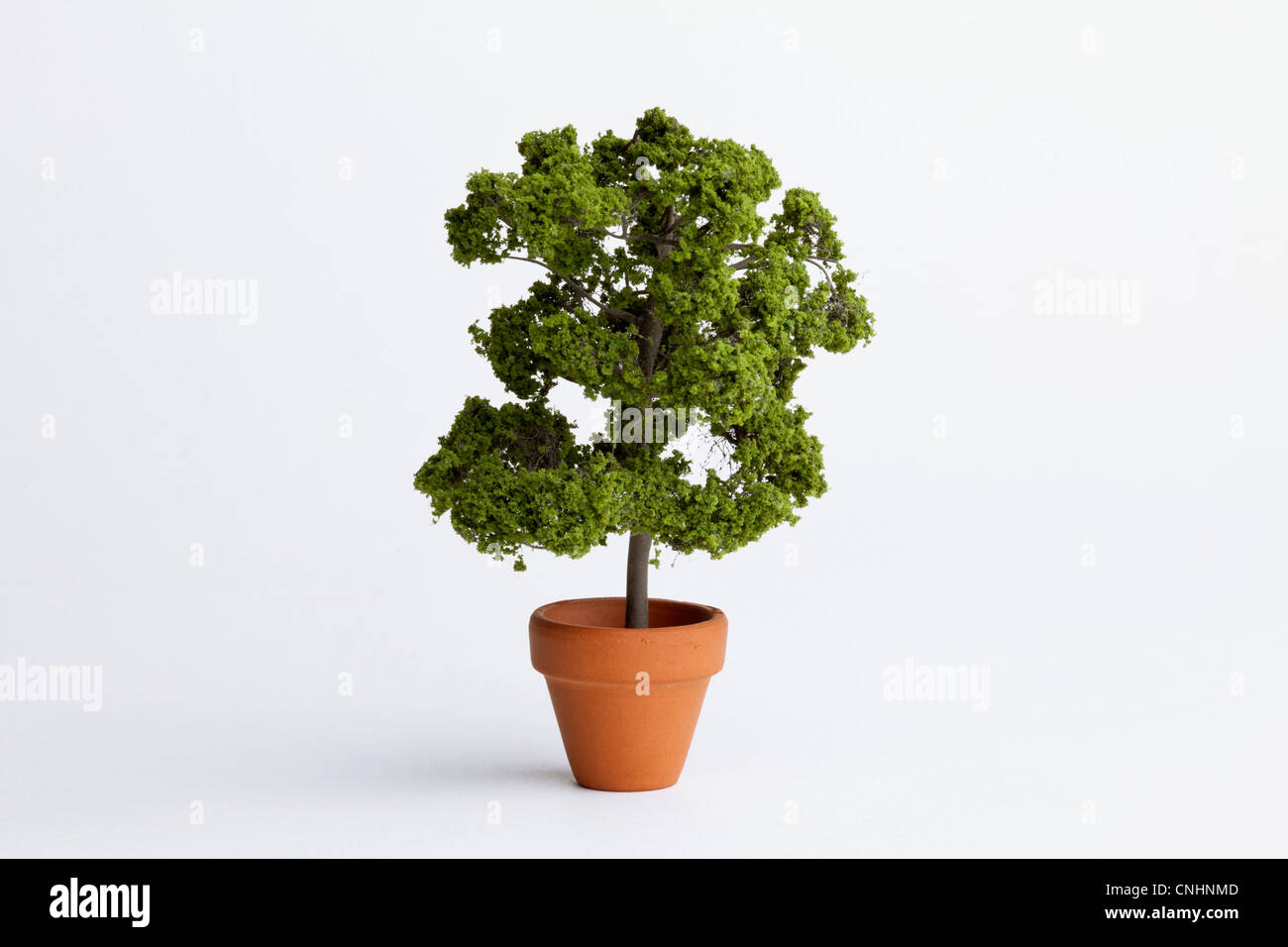 Une plante en pot miniature Banque D'Images