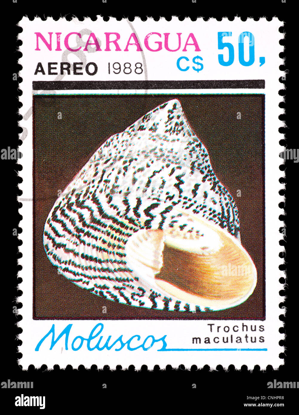 Timbre-poste du Nicaragua représentant un escargot Trochus maculatus (haut) Banque D'Images