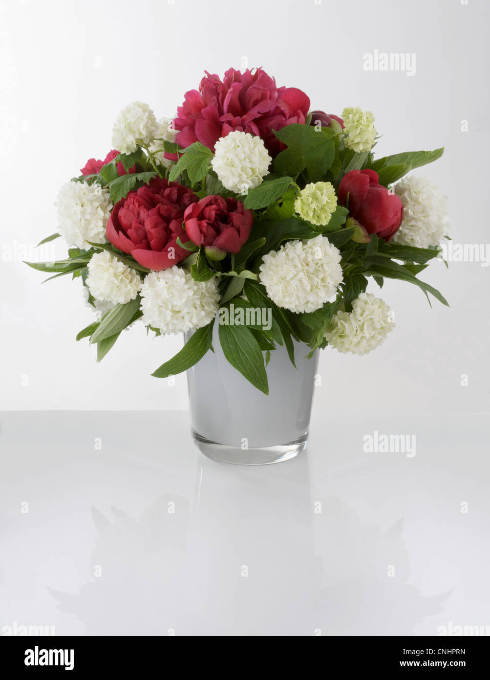 Un bouquet de fleurs rouges et blanches dans un vase Banque D'Images
