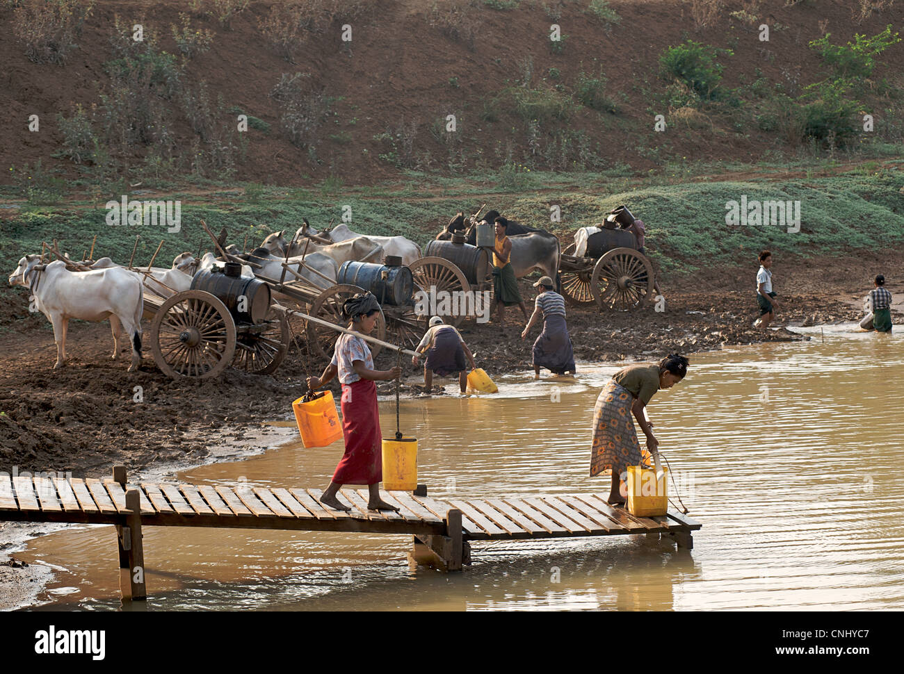 Les birmanes la collecte de l'eau d'un réservoir situé entre le mont Popa et Bagan Birmanie. Le Myanmar. Les préparatifs du Festival de l'eau Banque D'Images