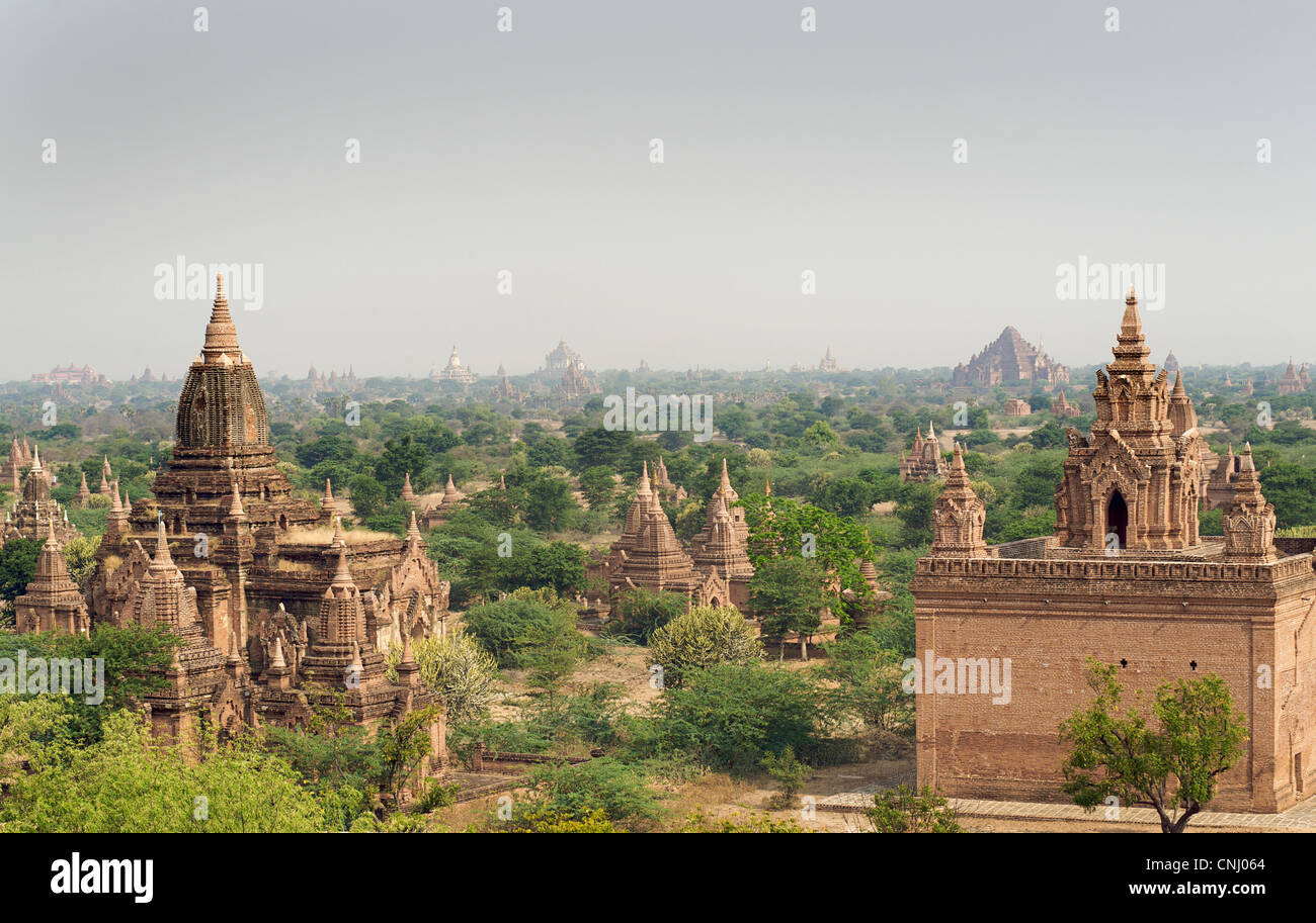 Vue sur la plaine de Pagan de Dhammayazika paya. La Birmanie. Bagan, Myanmar Banque D'Images