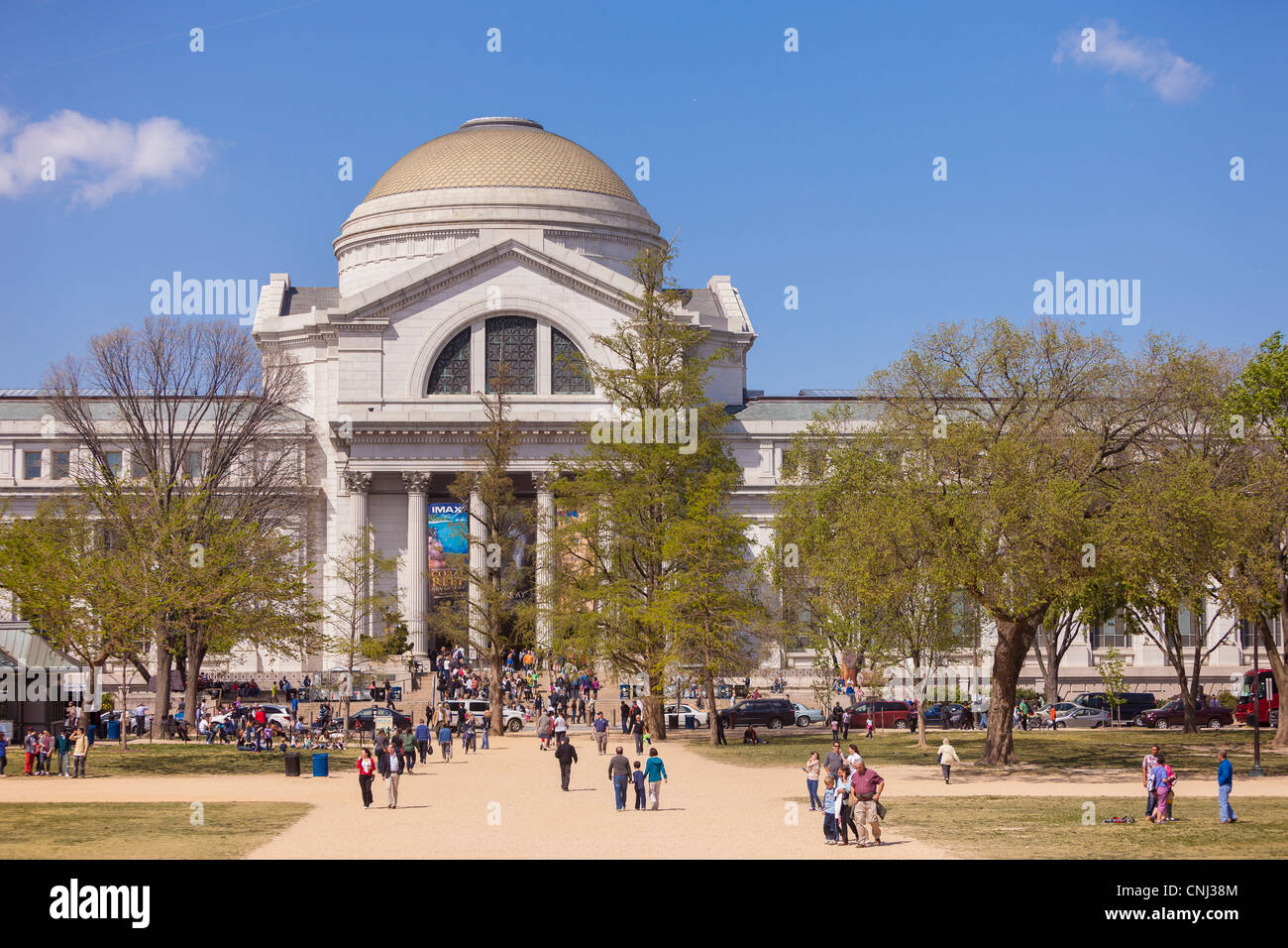 WASHINGTON, DC, USA - Musée Smithsonian d'Histoire Naturelle. Banque D'Images