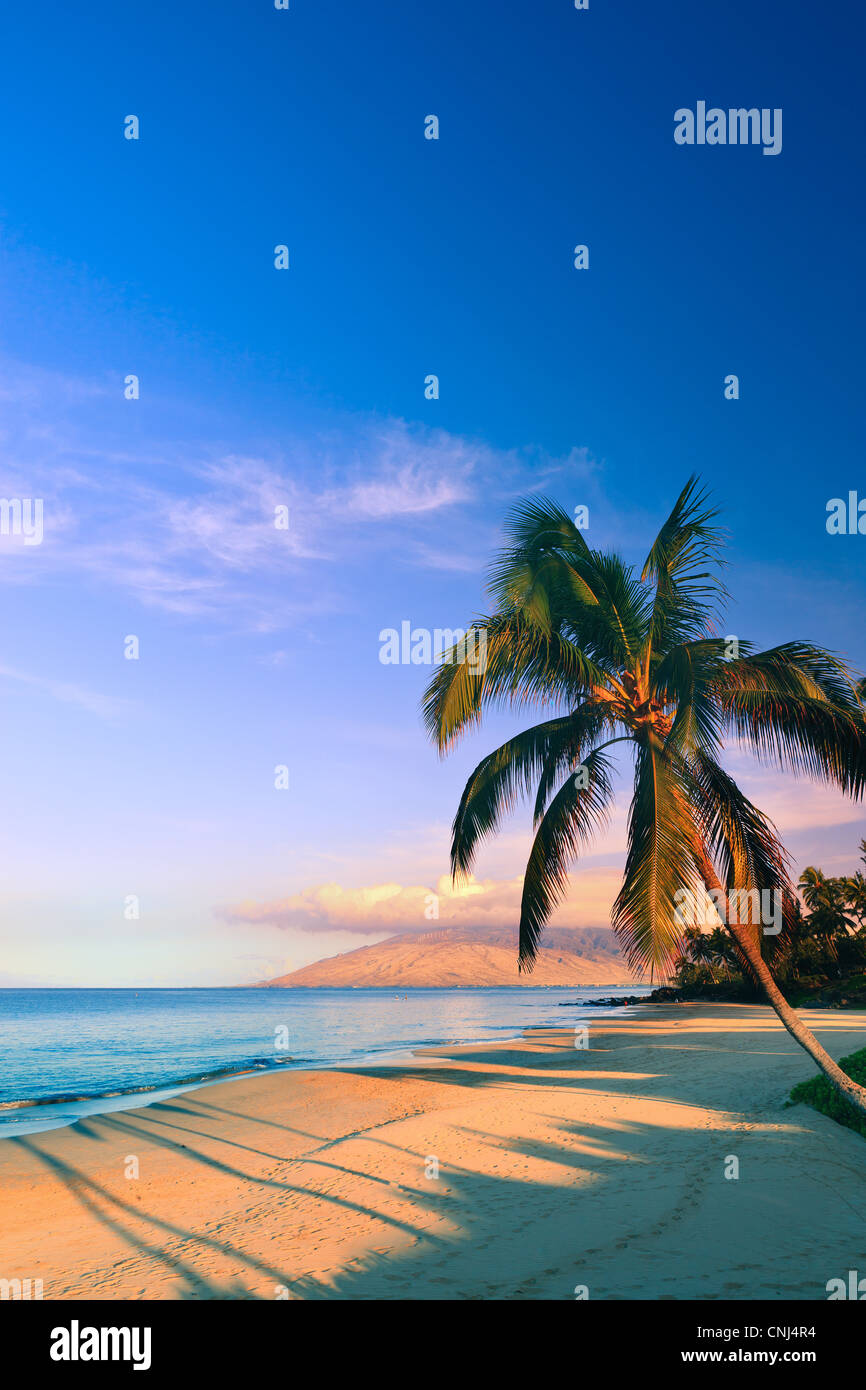 Lever du soleil à Kamaole Beach Park, Kihei, Maui, Hawaï Banque D'Images