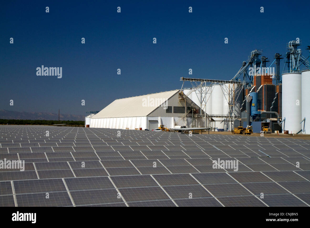 Panneaux solaires, créer de l'énergie utilisée pour l'alimentation du riz sécheur au California Family Foods à Arbuckle, Californie, USA. Banque D'Images