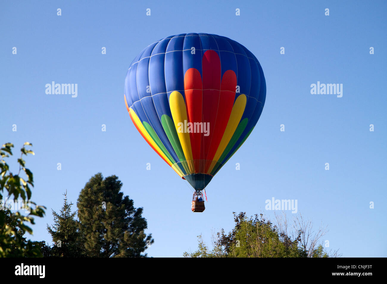 Hot Air Balloon landing dans une zone résidentielle de Boise, Idaho, USA. Banque D'Images