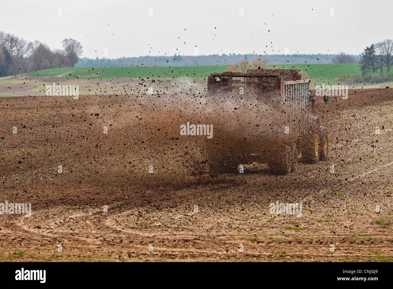 L'excréments est répandue sur un terrain par un tracteur Banque D'Images